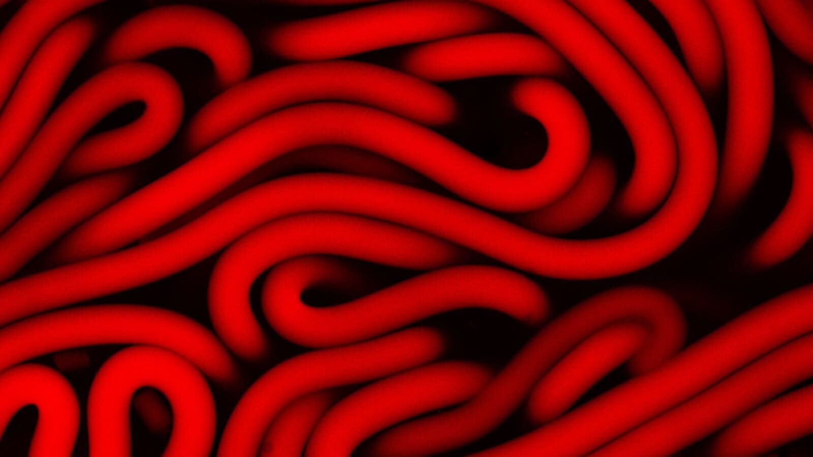photo of microscopic strands