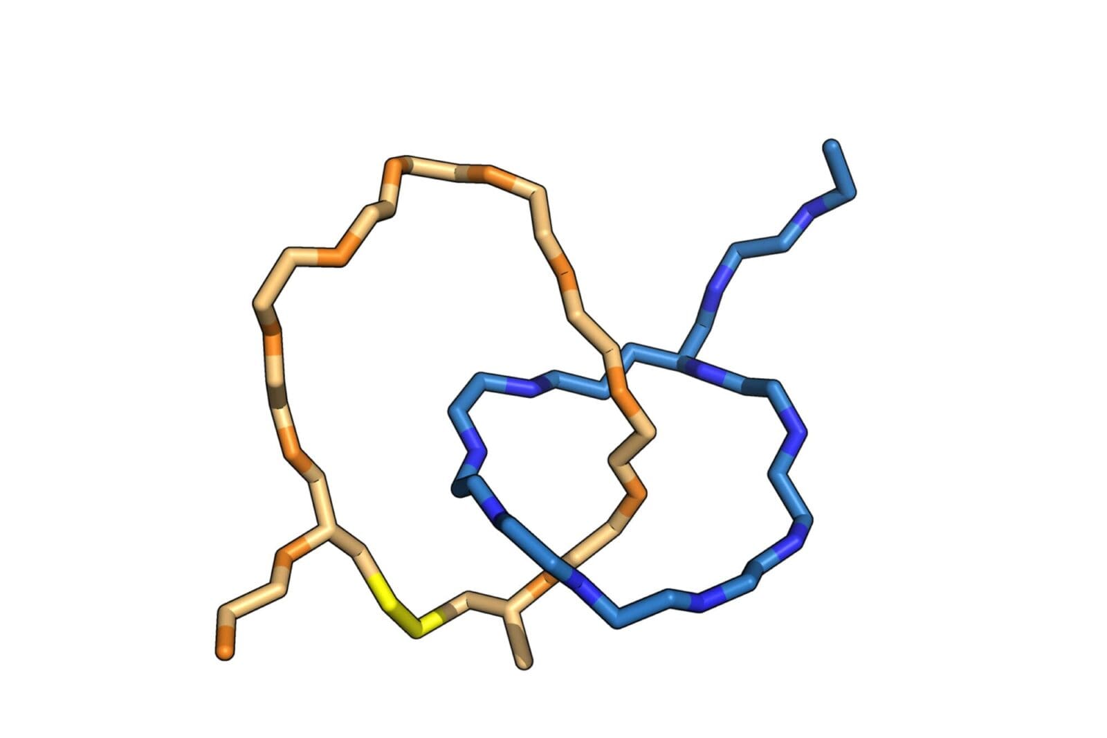two interlocked peptide rings