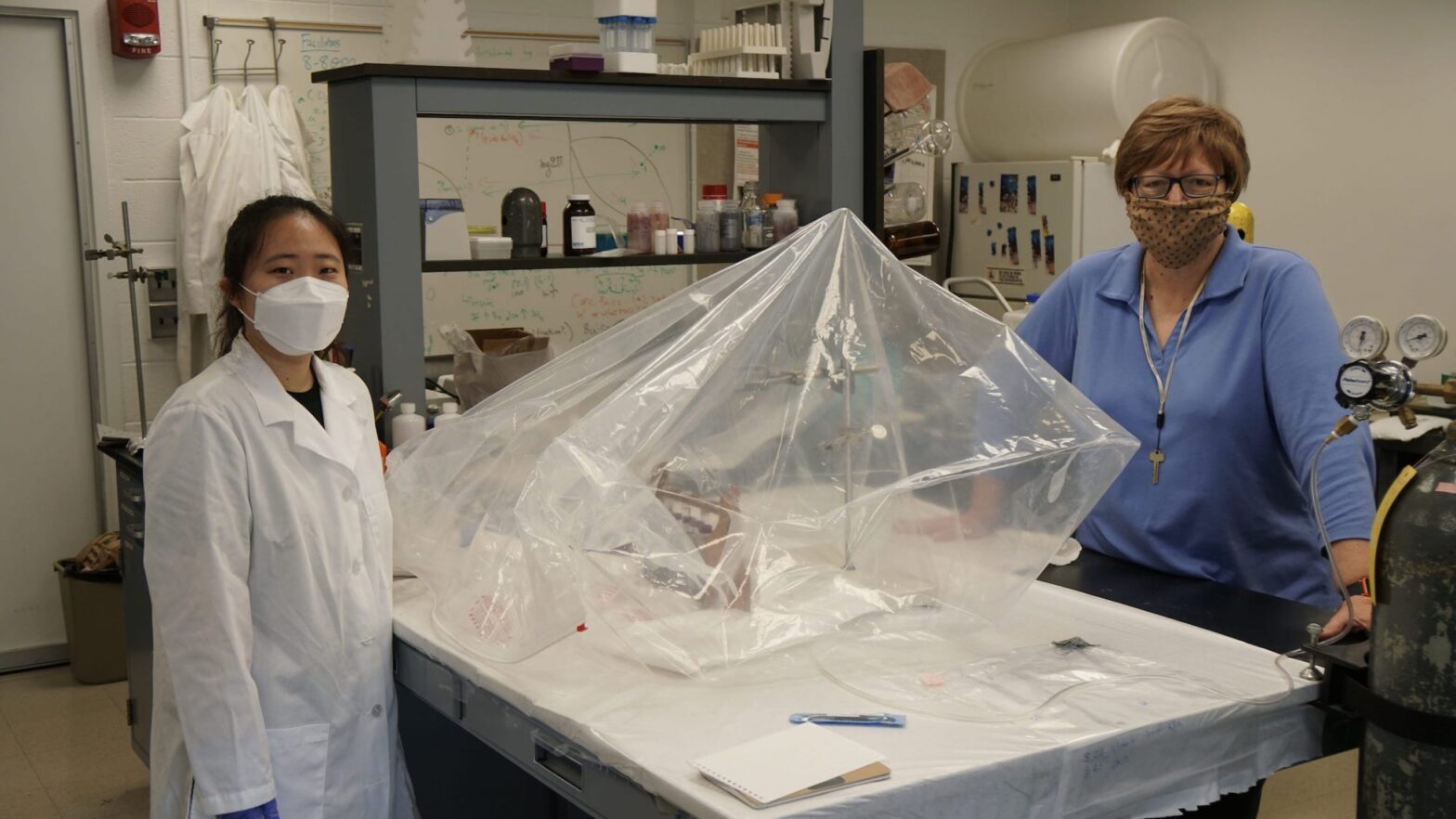 Julie Kim, left, a graduate student in civil and environmental engineering, in the lab of Catherine Peters, right.