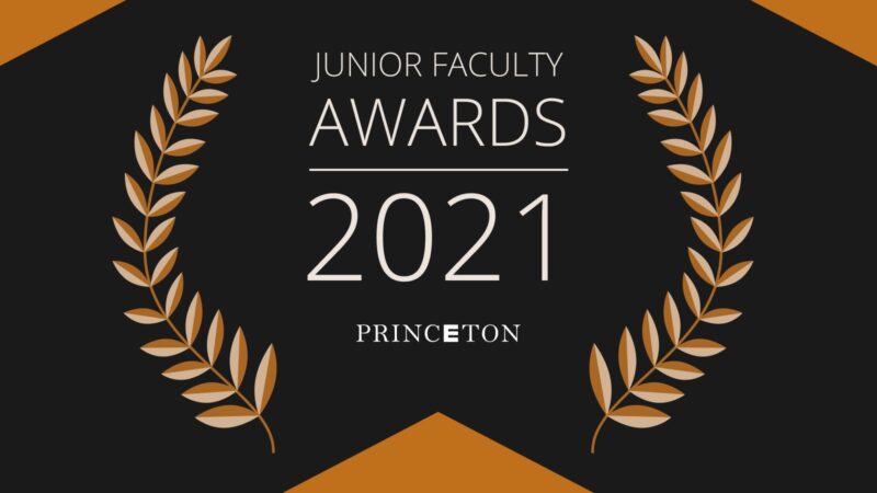 illustration for junior faculty awards