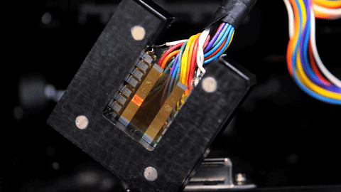 Electronic chip has lights that blink different colors