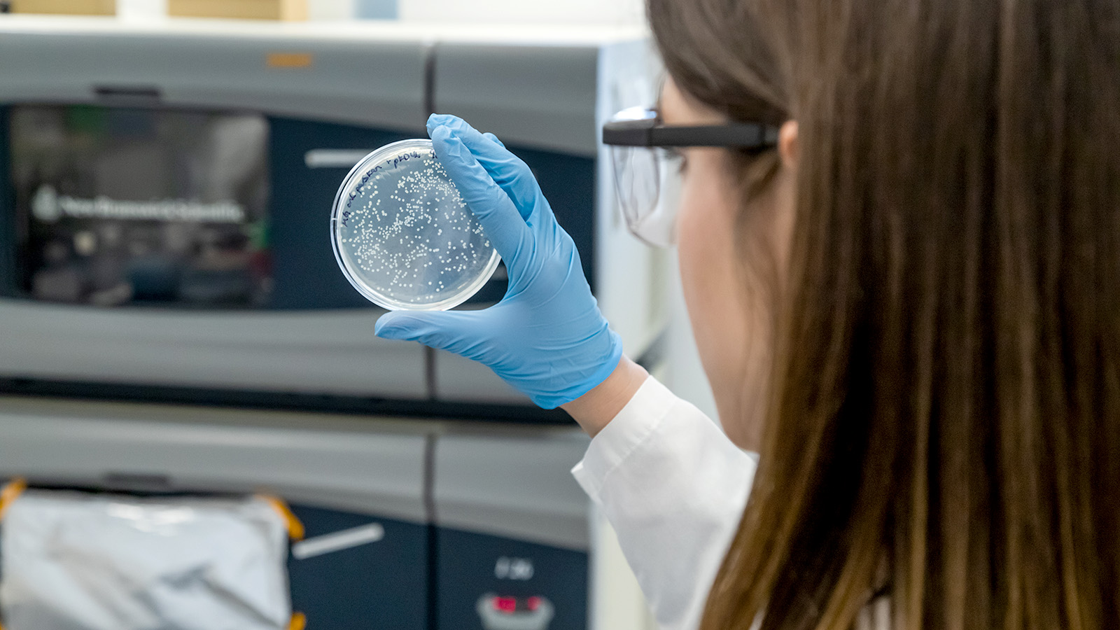 Researcher holds petri dish