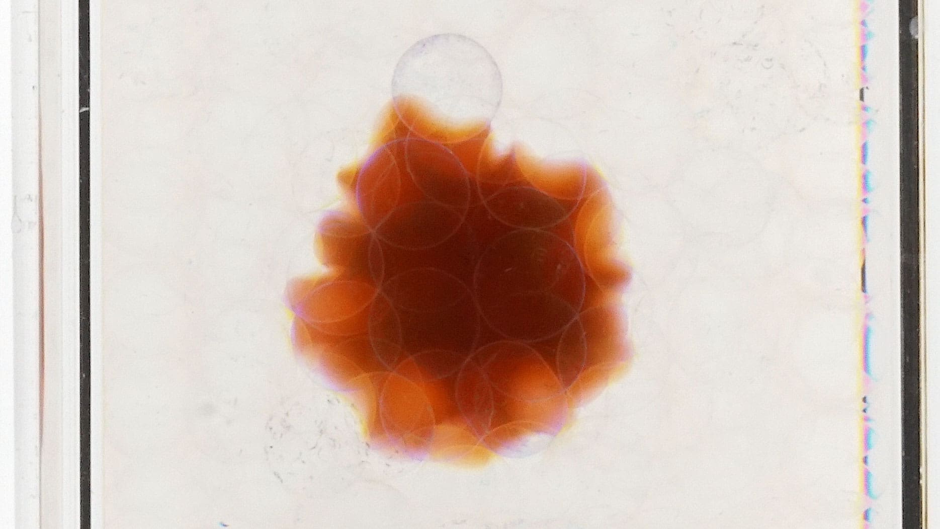 Hydrogel in transparent medium
