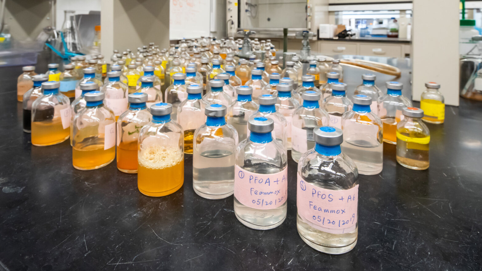 Laboratory vials containing bacterium