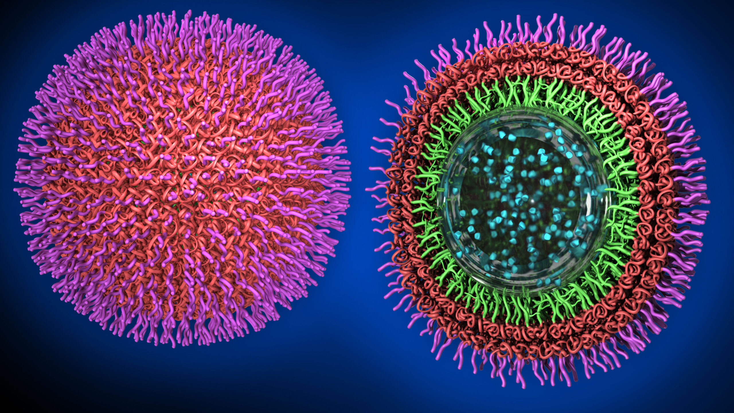 Artist's conception of nanoscale particles: at left, a sphere covered in twisted, hair-like strands; at right, a cross-section of the sphere that reveals layers of strands around an interior ball of drug particles