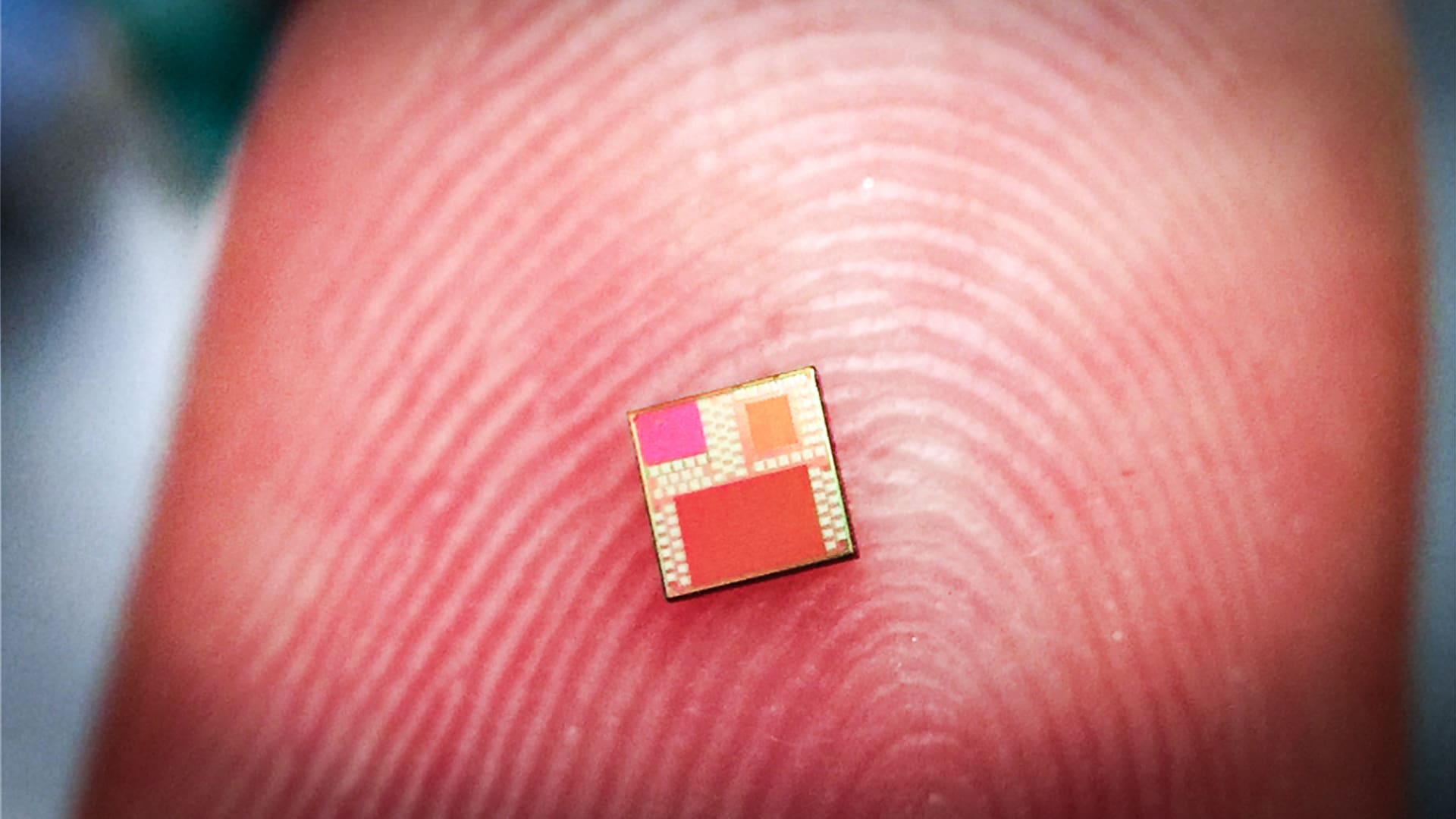Photo of a microchip
