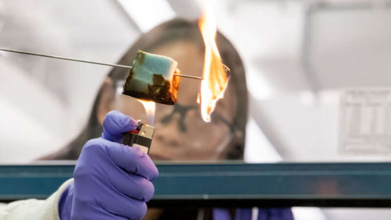 Researcher exposes fire-retardant and untreated control material to flame