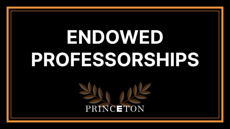 Endowed Professorships
