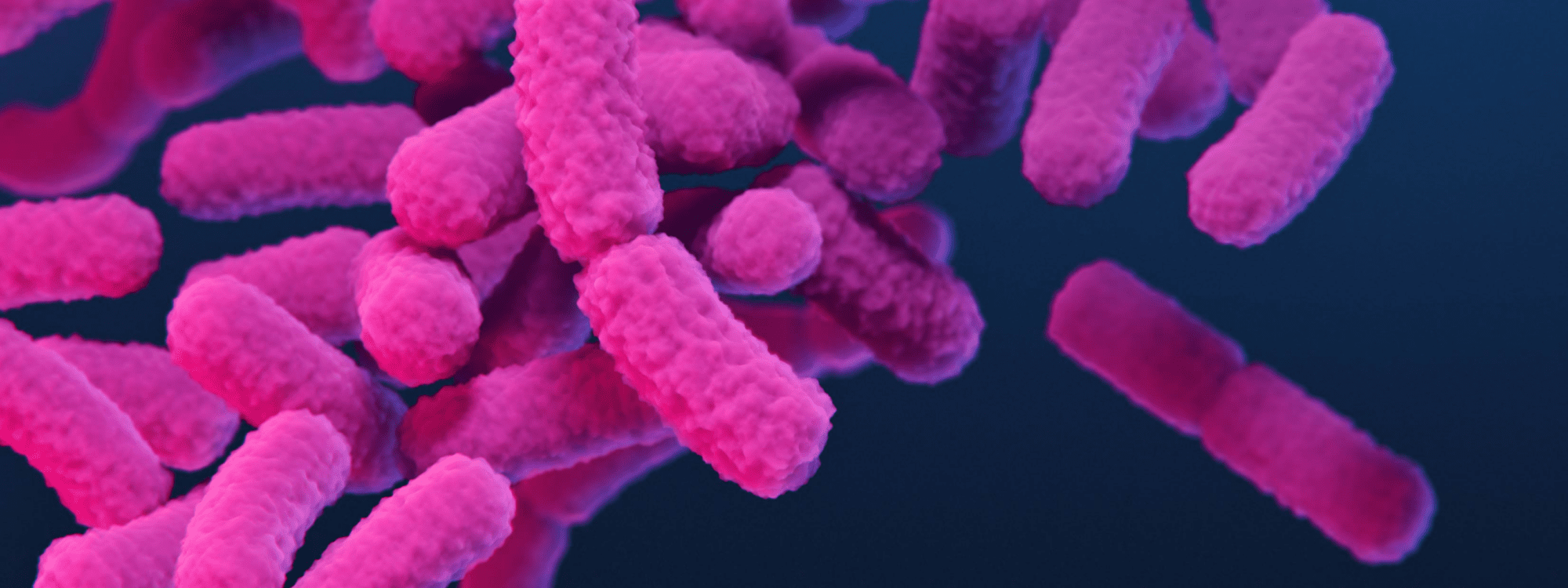 pink rough cylinder-shaped bacteria cells clustered in a 3D rendering