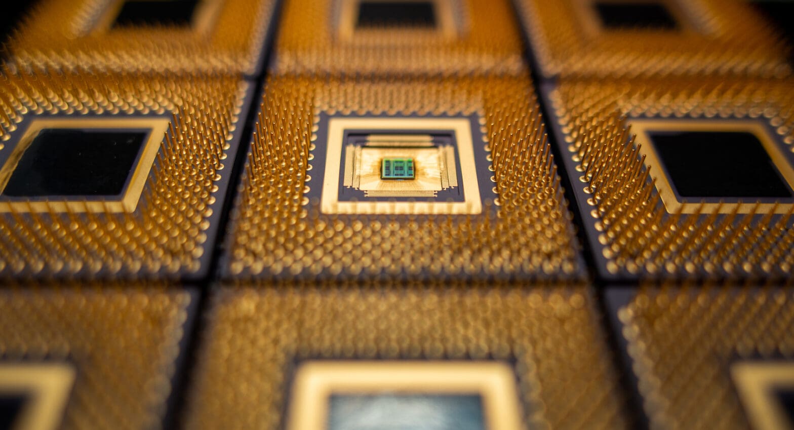 gold pins on the underside of an advanced chip