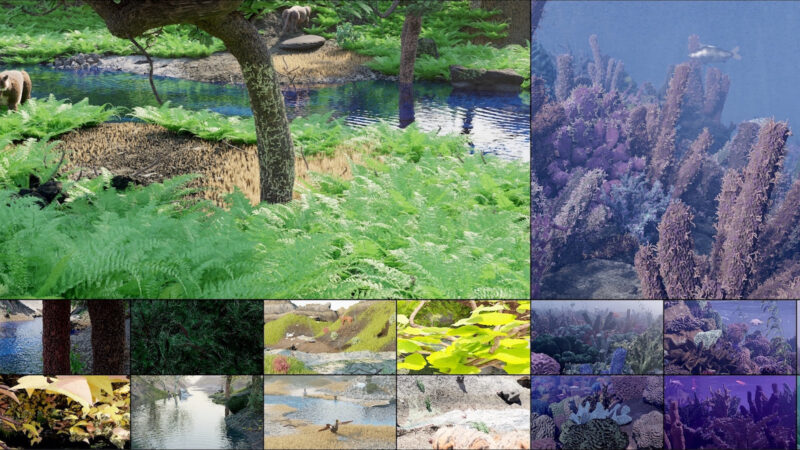 Tiled array of computer generated photorealistic graphical images of 3D natural scenes.