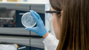 Woman holds petri dish with gloved hand.