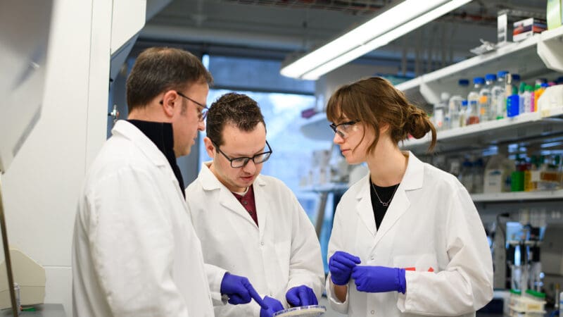 Jose Avalos, Chris Gonzalez, Tess Kichuk in wearing lab coats looking at Petri dish in lab