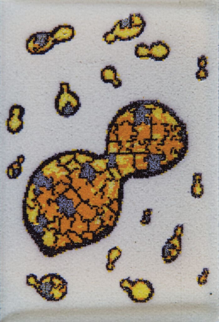 A synthetic yeast cell visualized pixel by pixel.