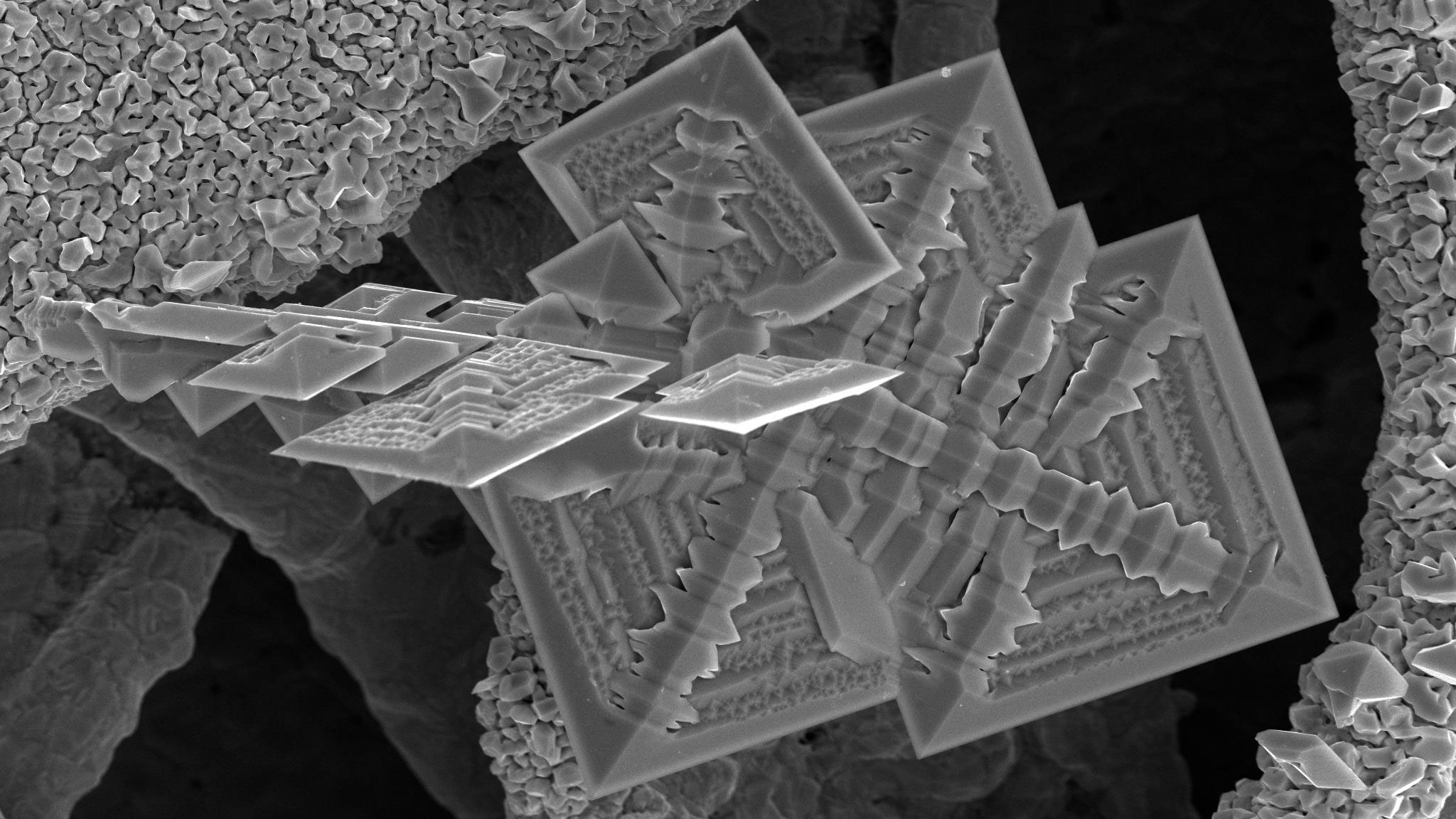 Microscope image of tin crystals, showing protruding, jagged, smooth, and stunted 3-dimensional features.