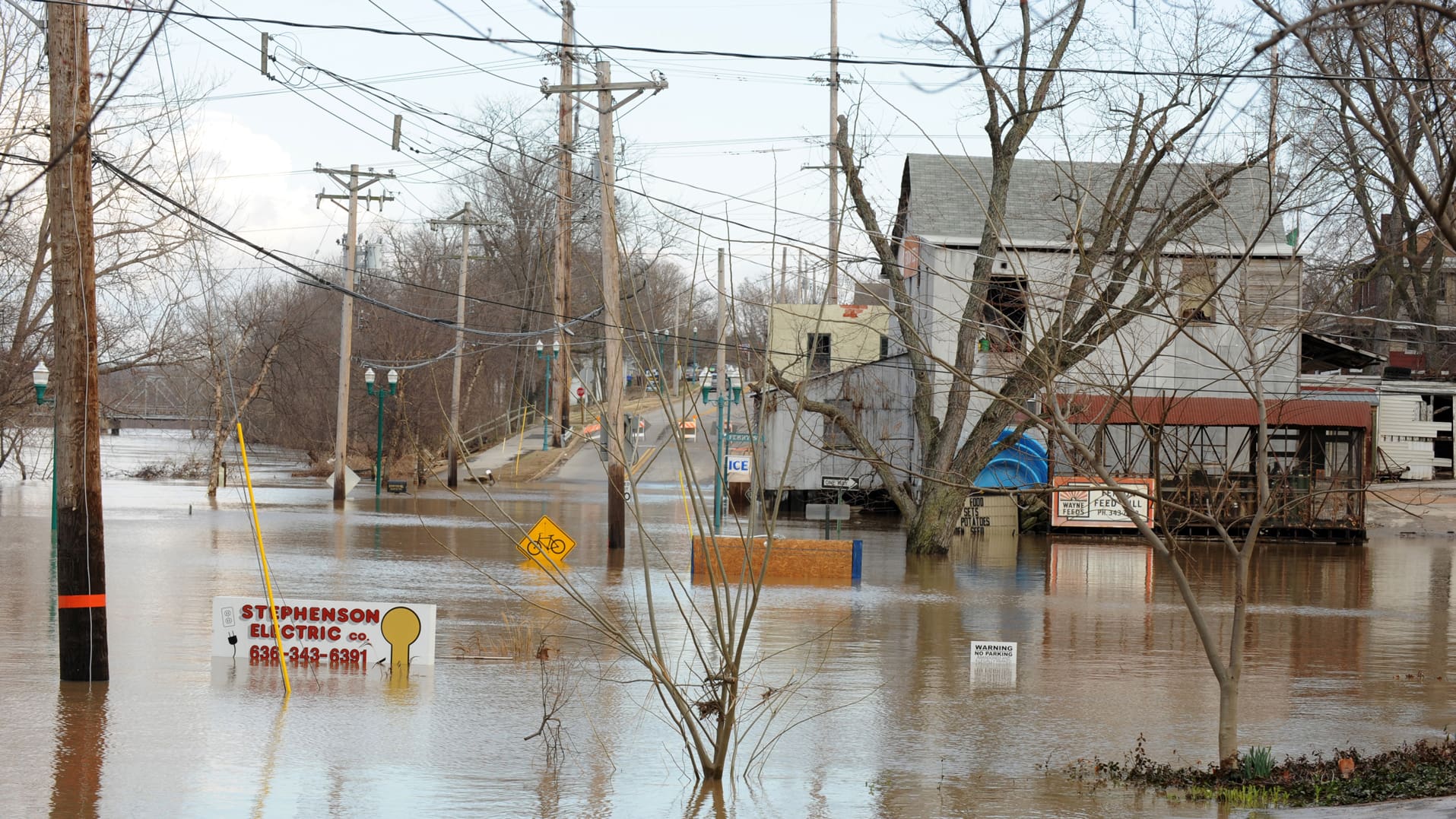 Trees and street signs partially submerged in river water with a buildings standing in floodwater in the background.