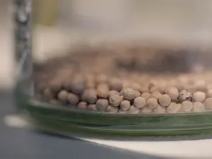 A close-up of a pinkish pebble-like material inside a glass jar.