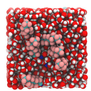 Space-filling 3D models of two types of molecules; water molecules shown in red and white and PFAS molecules shown in pink and aqua.
