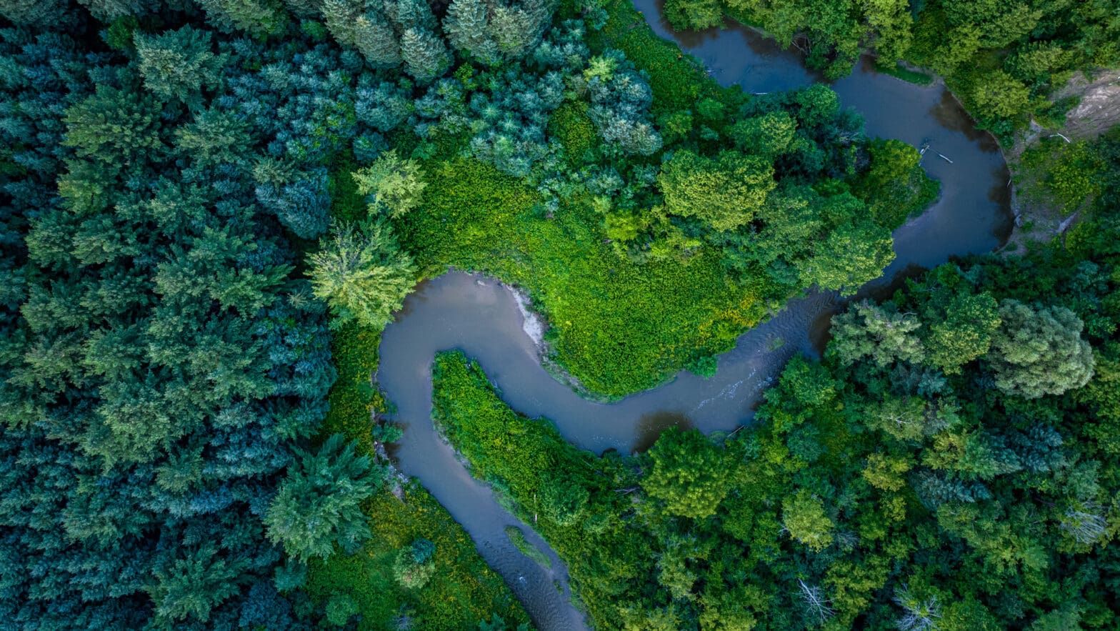 Aerial view of a meandering river surrounded by forest.