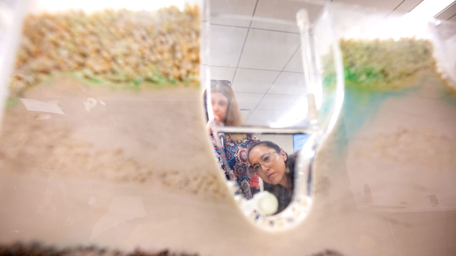 A woman peers through an opening in a sandbox table