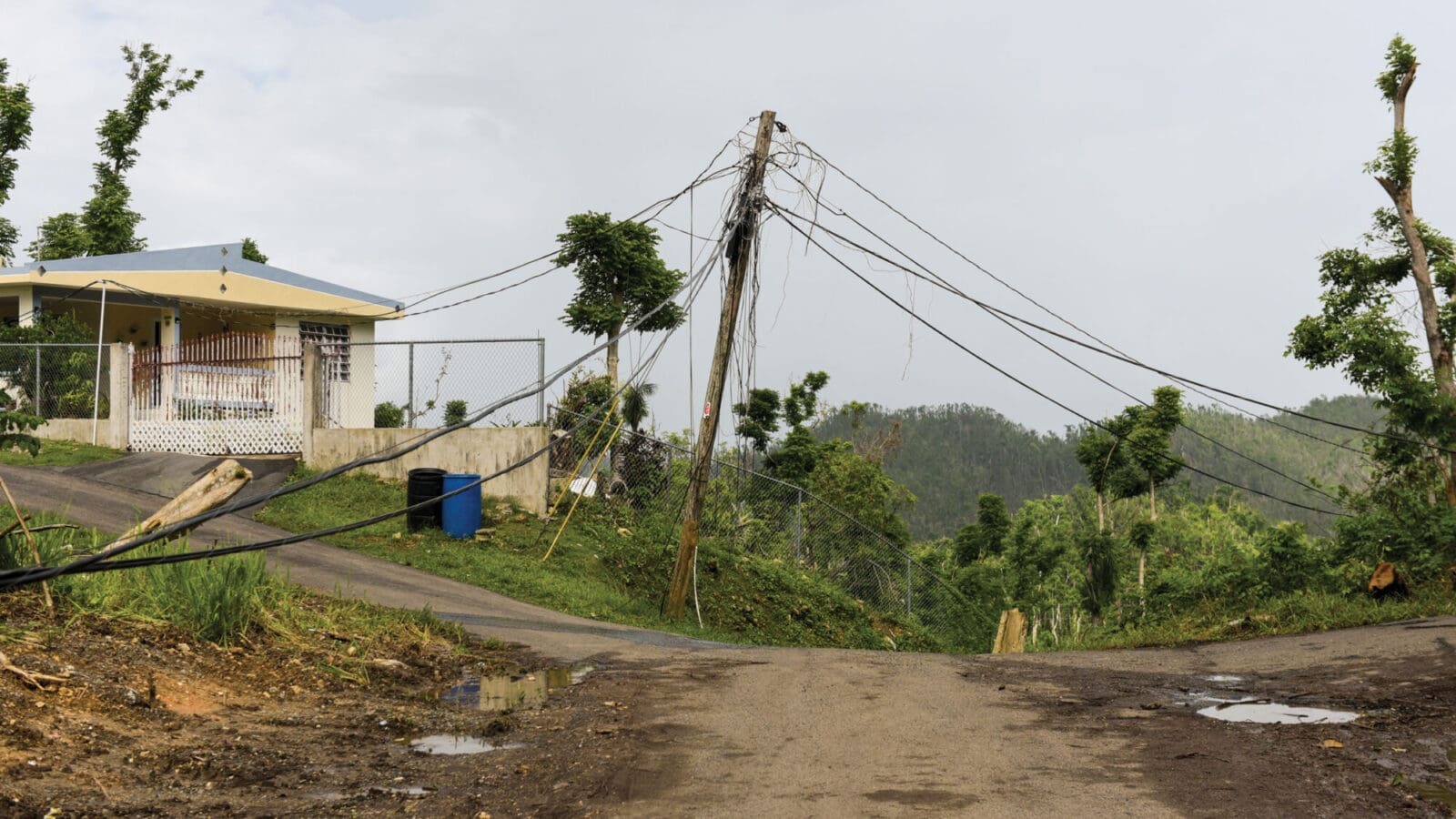 A rustic dirt road with damaged power lines.