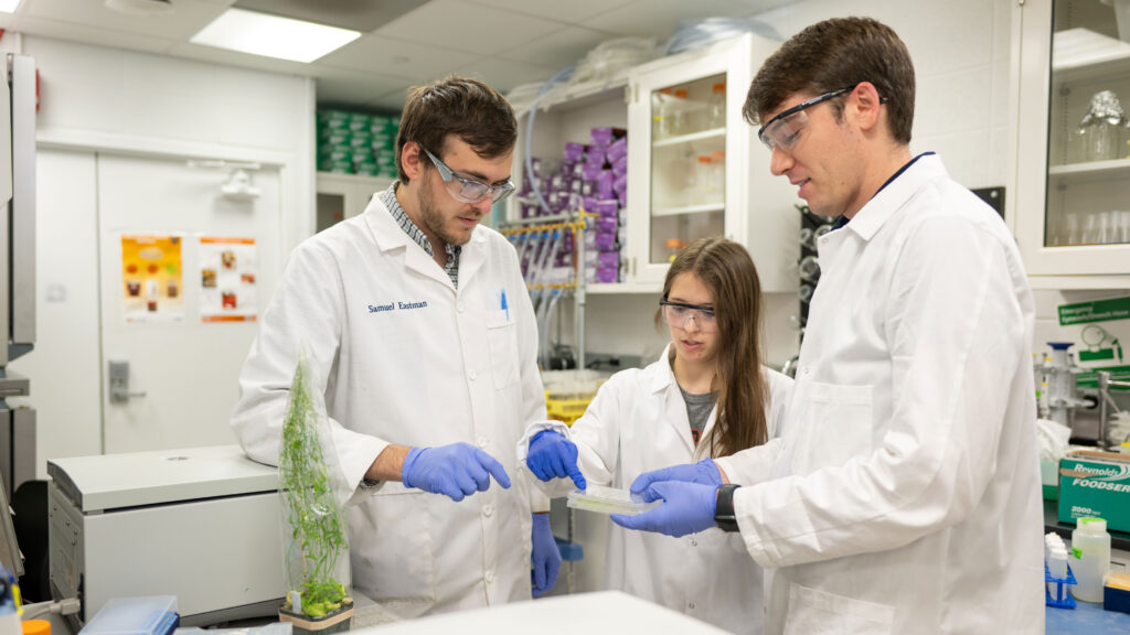 Three researchers in lab coats examine the results of an experiment on a petri plate.