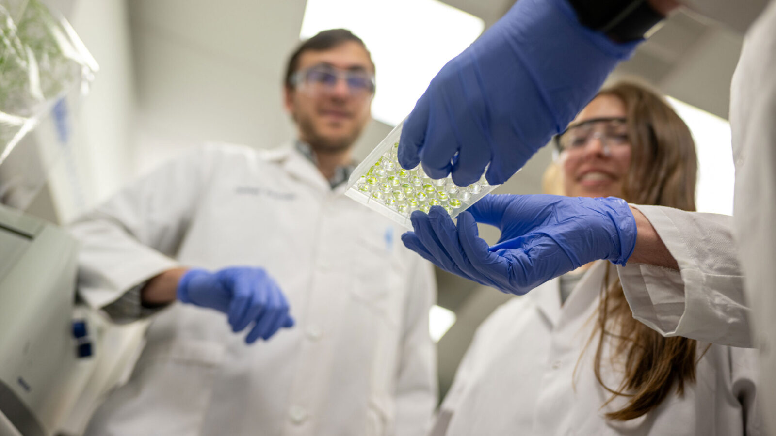 Two researchers in lab coats examining seedlings growing in a petri dish.