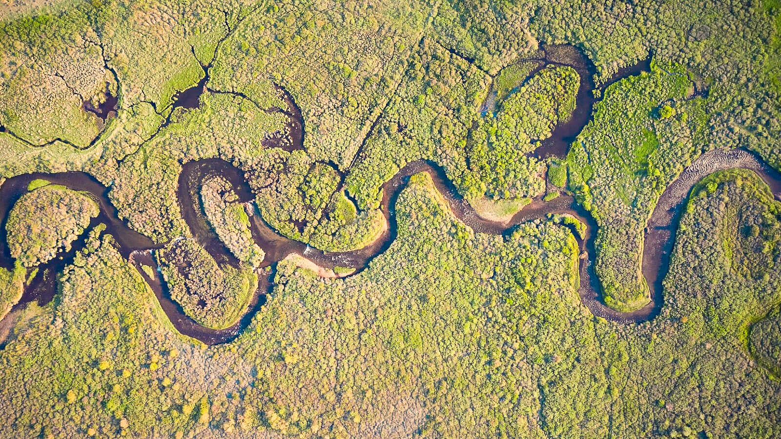 Aerial view of a river meandering through a green field.