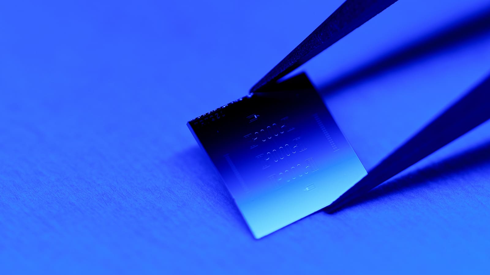 Tweezers hold a quantum microchip.