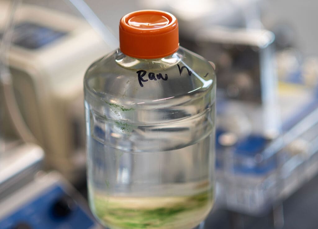 Dirty water boosts prospects for clean hydrogen – Princeton Engineering