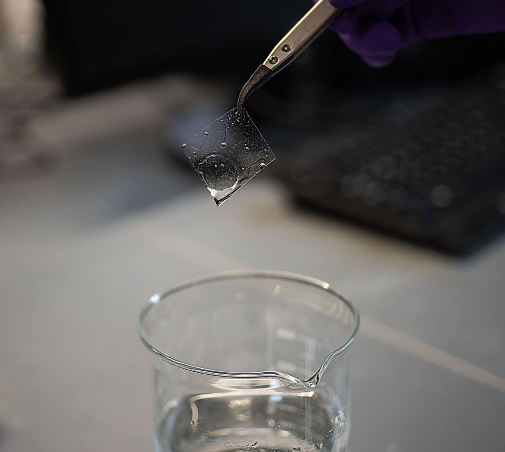 A pair of forceps grasping a square of transparent membrane, held over a beaker filled with clear liquid.