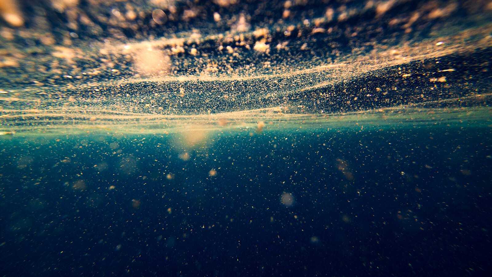 Underwater view of wavy ocean surface, with sediment and plankton floating throughout water column.
