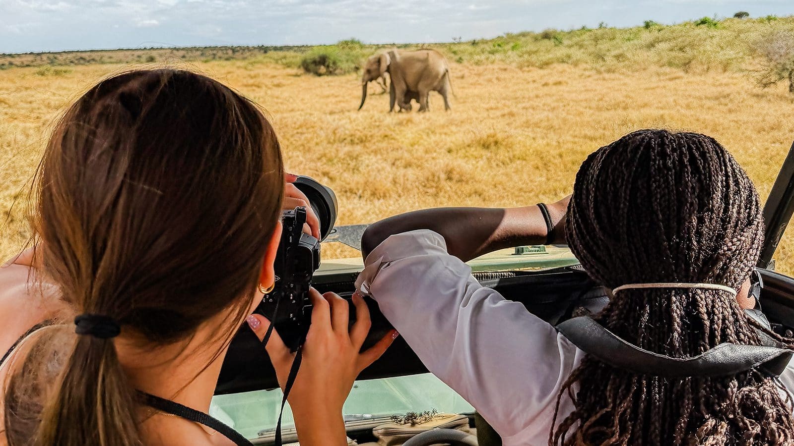 Heads of two women seen from behind. They are holding cameras and observing an elephant in its natural habitat.