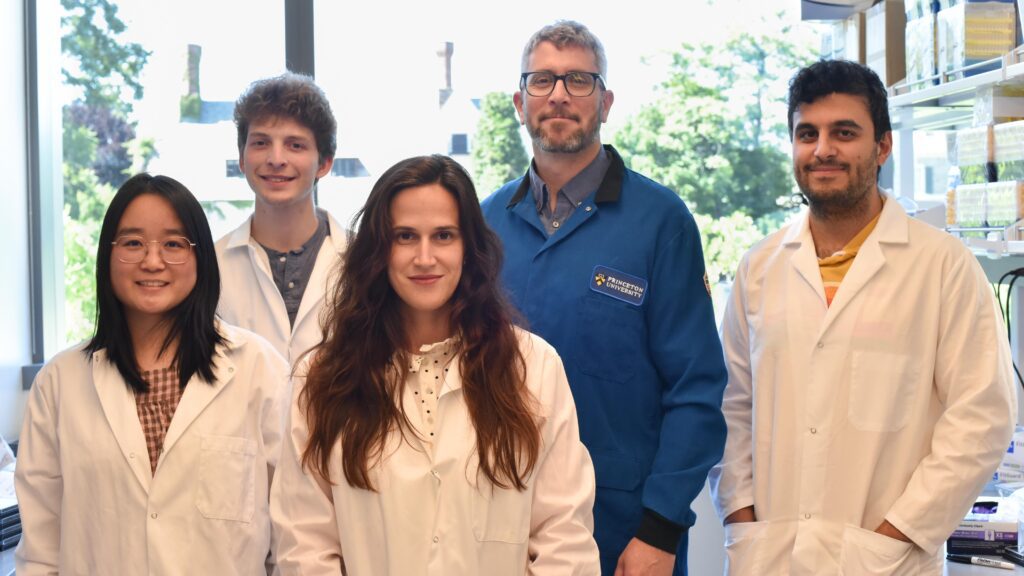 Five researchers in lab coats