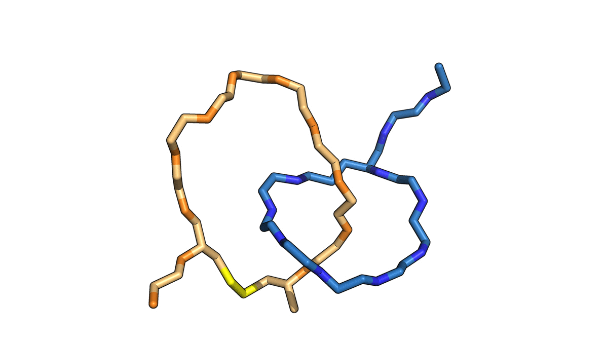 animation of two interlocked lasso shapes growing in complexity with molecular scaffolding