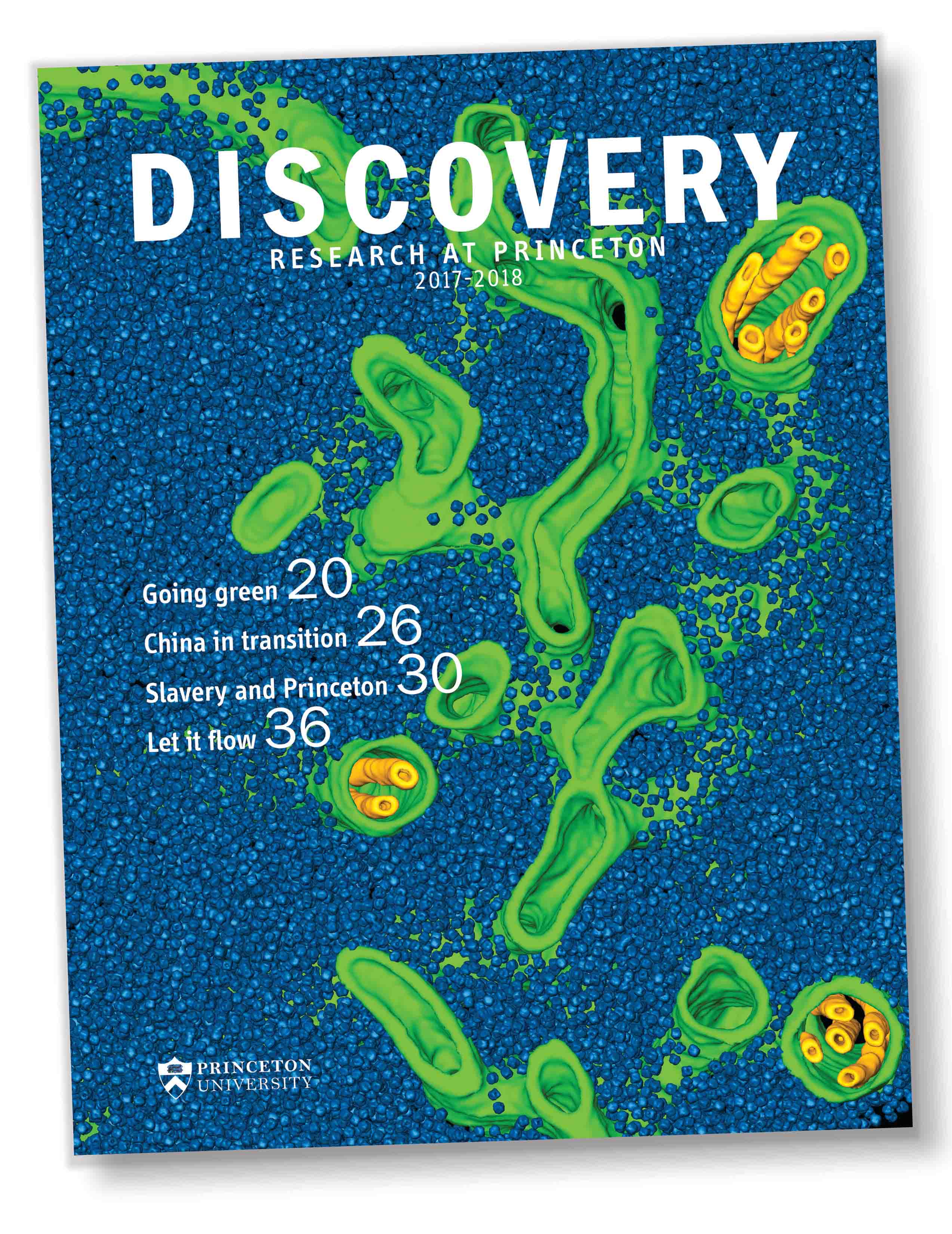 Discovery at Princeton cover image
