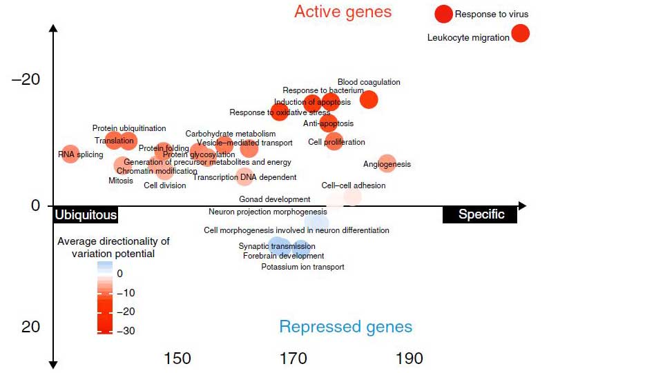 chart of gene analysis