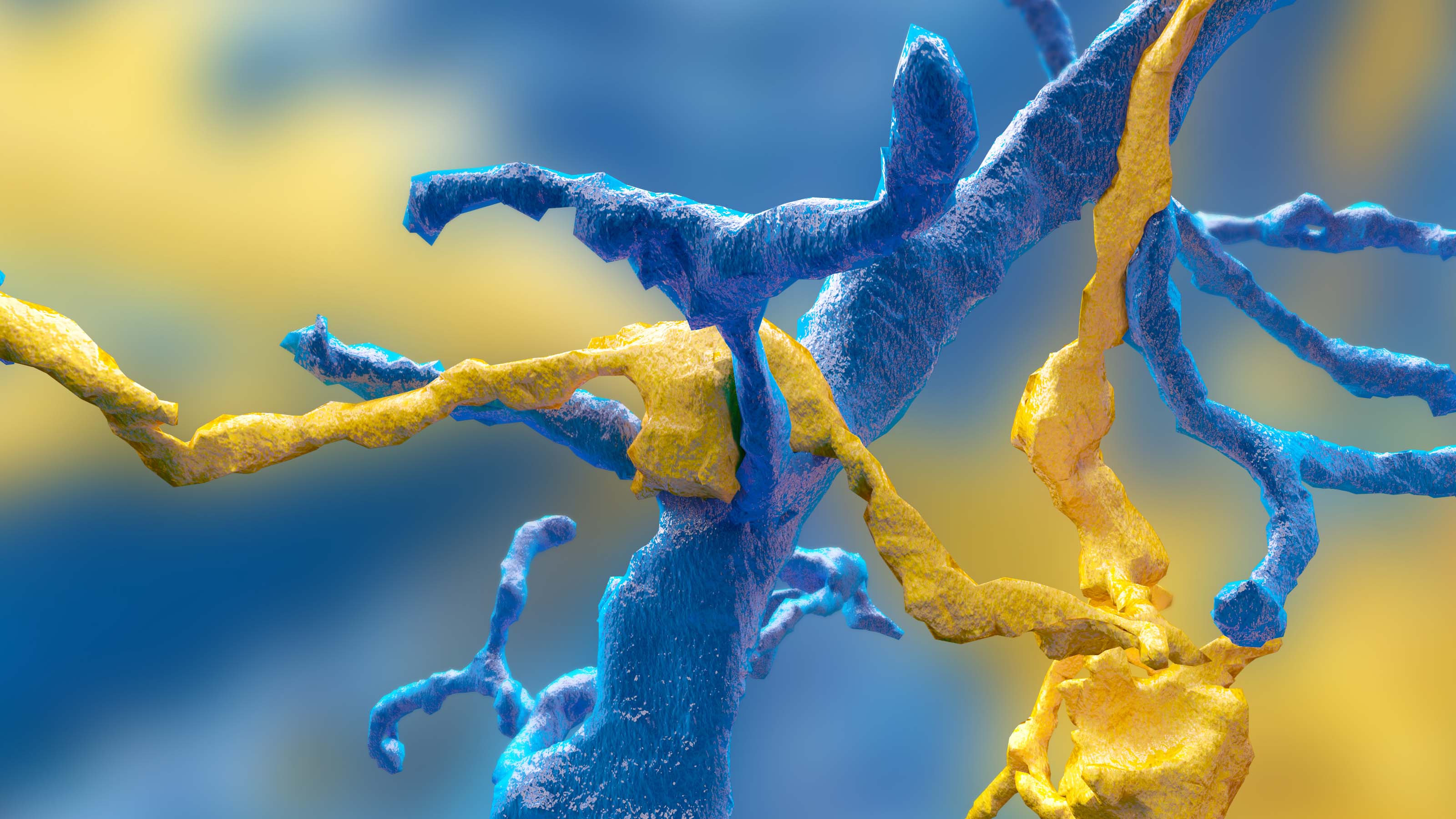Lab image: Eyewire gamers mapped this synapse between a ganglion neuron (blue) and a starburst amacrine cell (yellow).