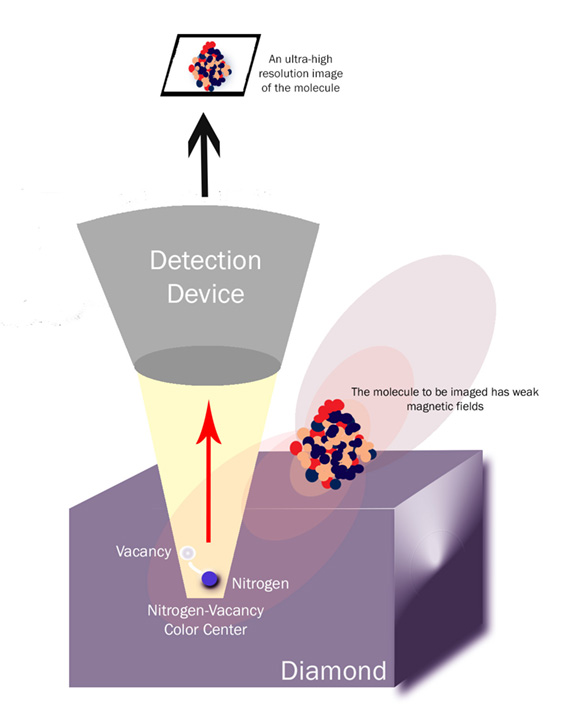 Researchers led by Nathalie de Leon are turning diamonds into devices that can image single molecules. The device uses a defect in the crystal structure called a nitrogen-vacancy color center. When disrupted by the molecule's faint magnetic field, the defect gives off red signals that can be used to construct an ultra-high resolution image of the molecule. Infographic by Yasemin Saplakoglu