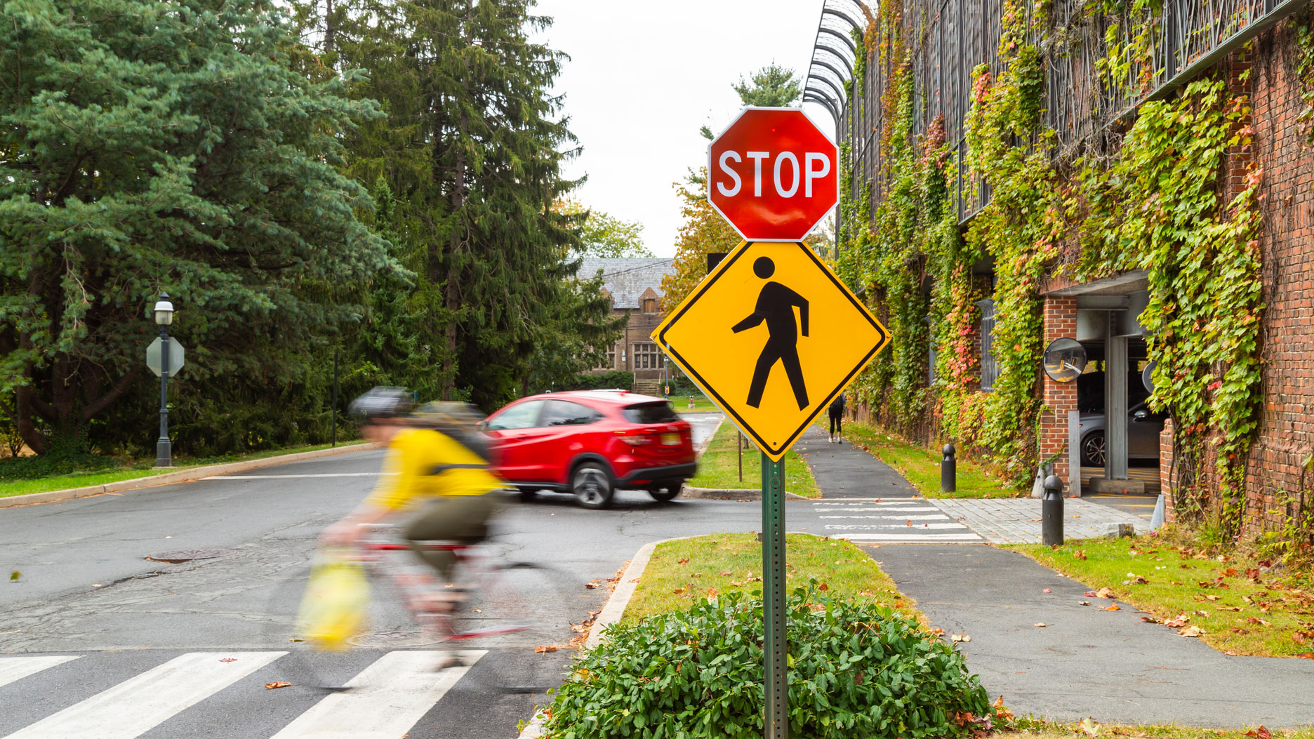 stop sign with cyclist