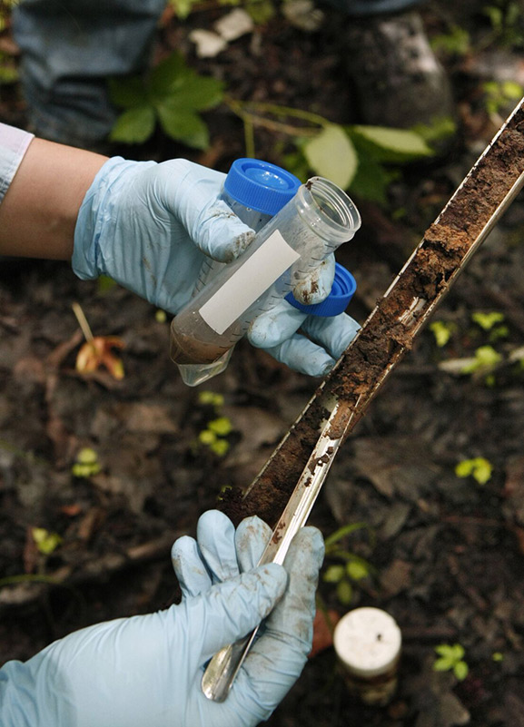 Gloved hands holding a test tube, outdoors