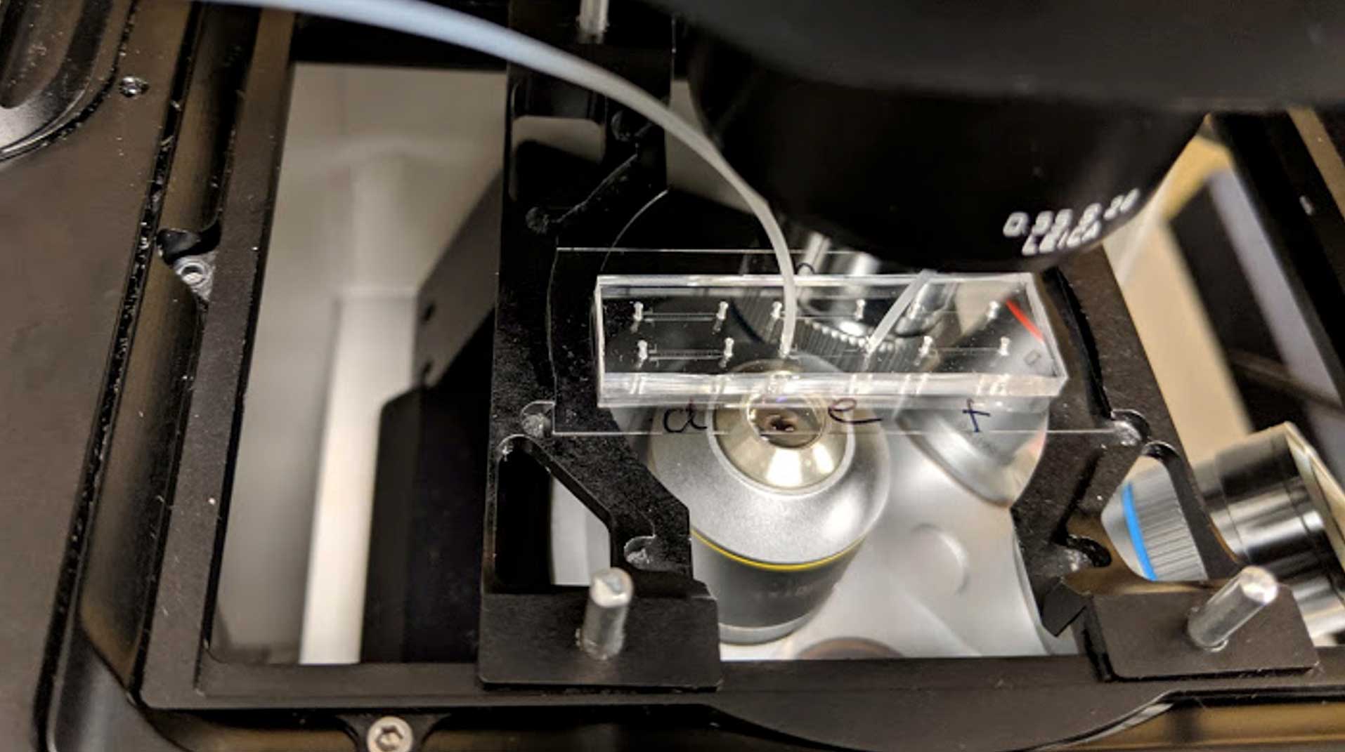 Microscope stage with microfluidic device