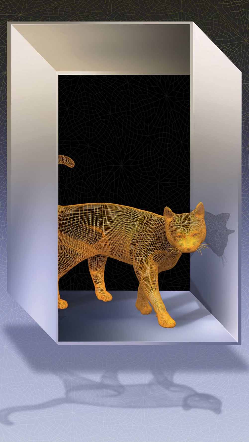 Cat in box illustration