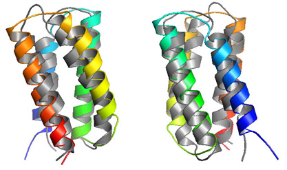 multiple helices