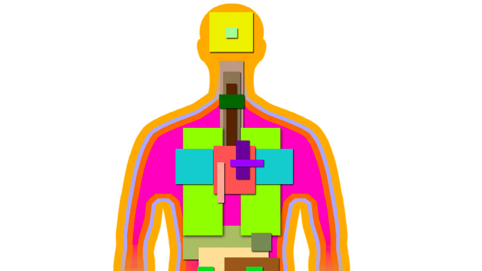 Schematic image of human body and tissue types