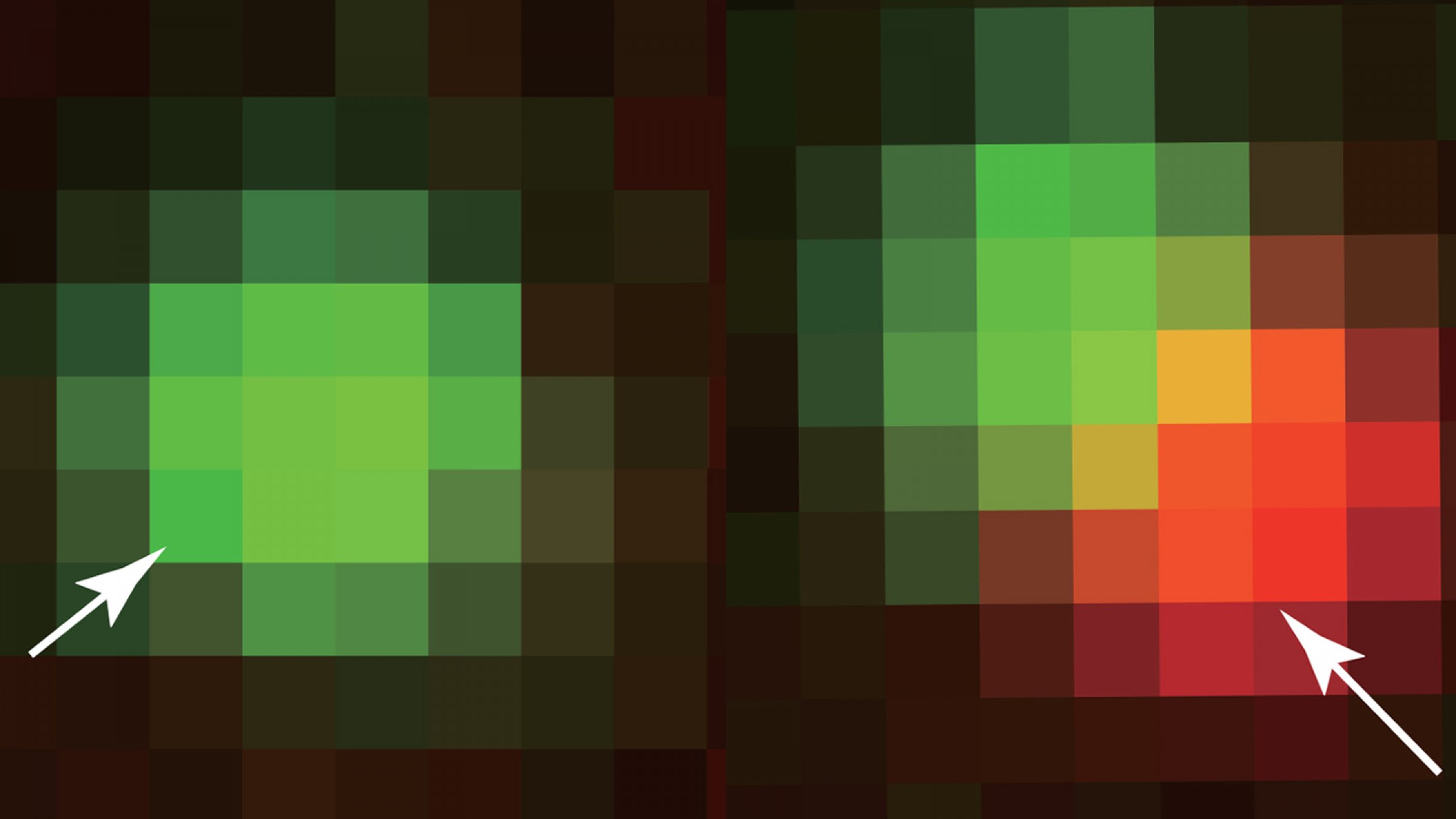 Two pixilated green blobs, one with a red patch